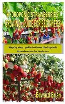 Hydroponic Strawberries Growing Guide for Beginner's