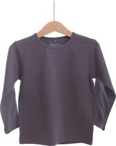 BeeLittle - T-shirt lange mouw - grijs - maat 116