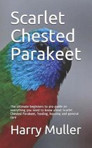 Scarlet Chested Parakeet