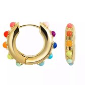 Hoop earrings - Oorbellen - Oorringen -  goudkleurig - regenboog