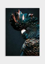 Poster Cockatoo ² - Dibond - Meerdere Afmetingen & Prijzen | Wanddecoratie - Interieur - Art - Wonen - Schilderij - Kunst