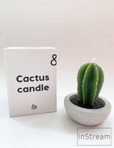 &Klevering Cactus kaars - Klevering - Kaars - Cactus | bol.com