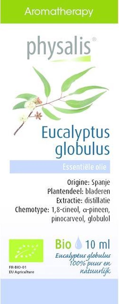 Goedkoopste Physalis Aromatherapy Essentiële Oliën Eucalyptus