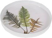 Gina Da - Delta Fern - Bord - set van 6 - Ø 23,5 cm  - wit