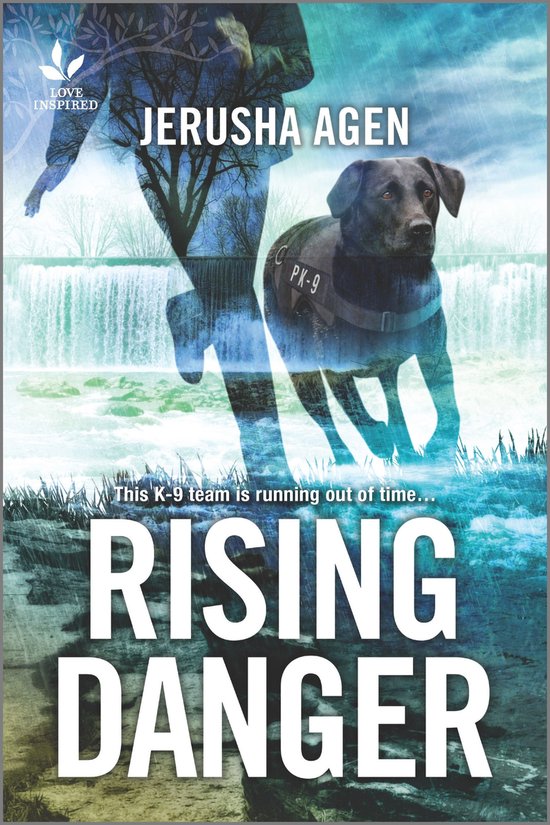 Rising Danger - cover