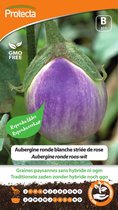 Protecta Groente zaden: Aubergine Ronde roos-wit