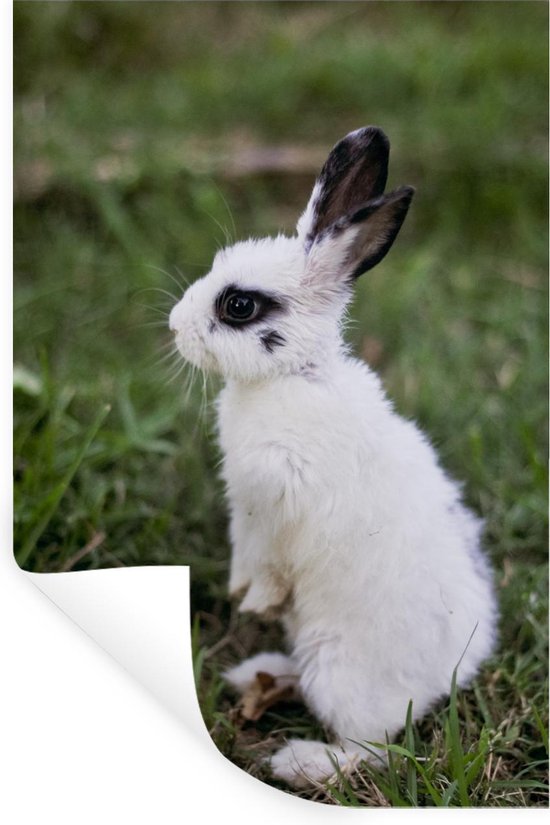 Muursticker Baby - Staand konijn - cm - zelfklevend -... | bol.com