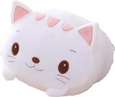 Kenjiro - Cute Kawaii - Cat - Kat - Plushy - Knuffel - 60 cm - wit
