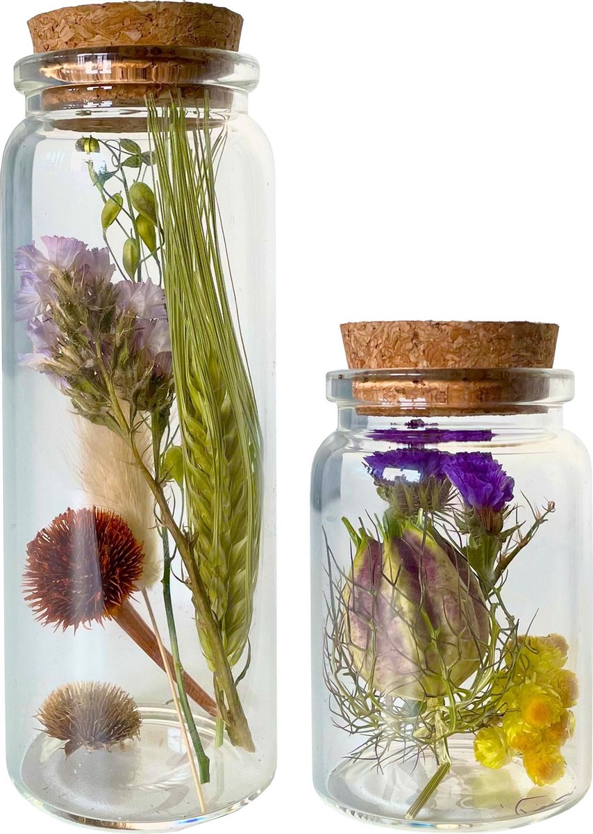 Droogbloemen in glas met kruk Set van 2 glazen flesjes Dried flowers Gedroogde bloemen Groot