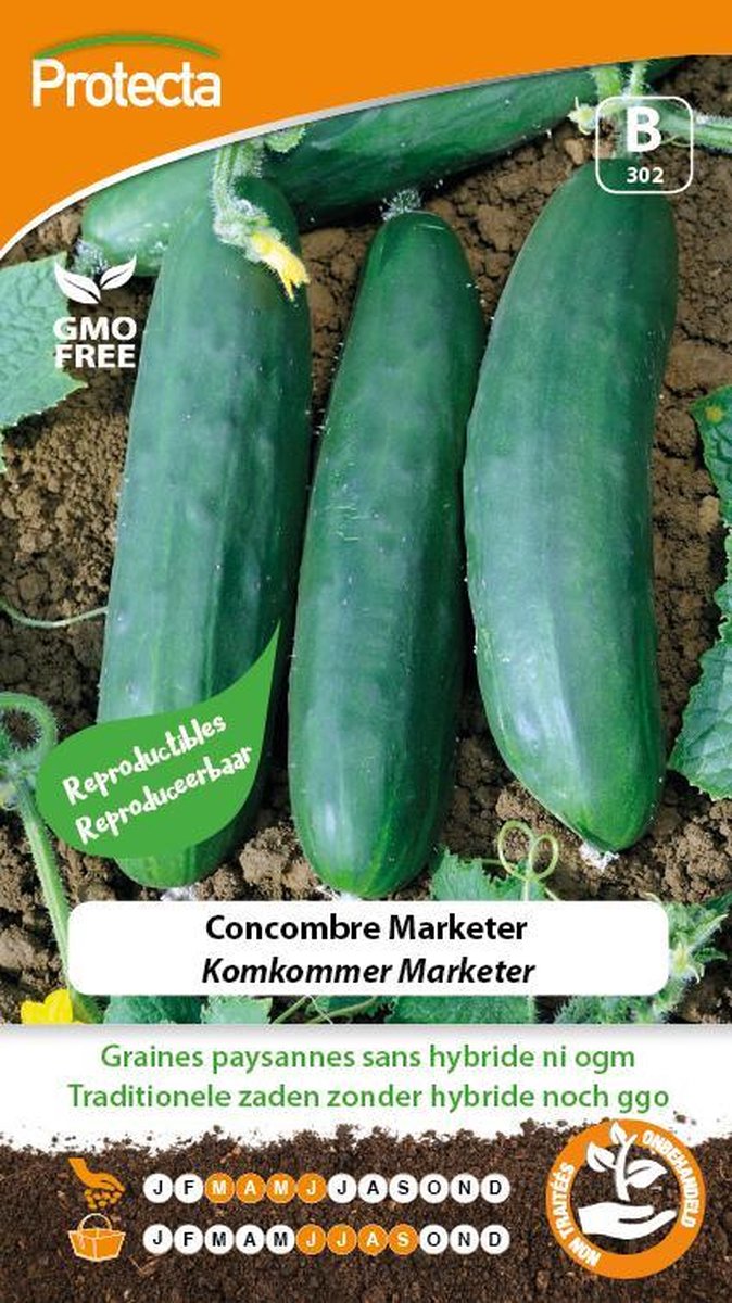 Protecta Groente zaden: Komkommer Marketer
