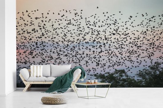 spel recorder Overtuiging Behang - Fotobehang - Een zwerm vogels in een gekleurde lucht - Breedte 435  cm x... | bol.com