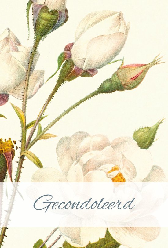 Wenskaarten - 5 condoleancekaarten met afbeeldingen van rozen van Pierre-Joseph Redouté + enveloppen
