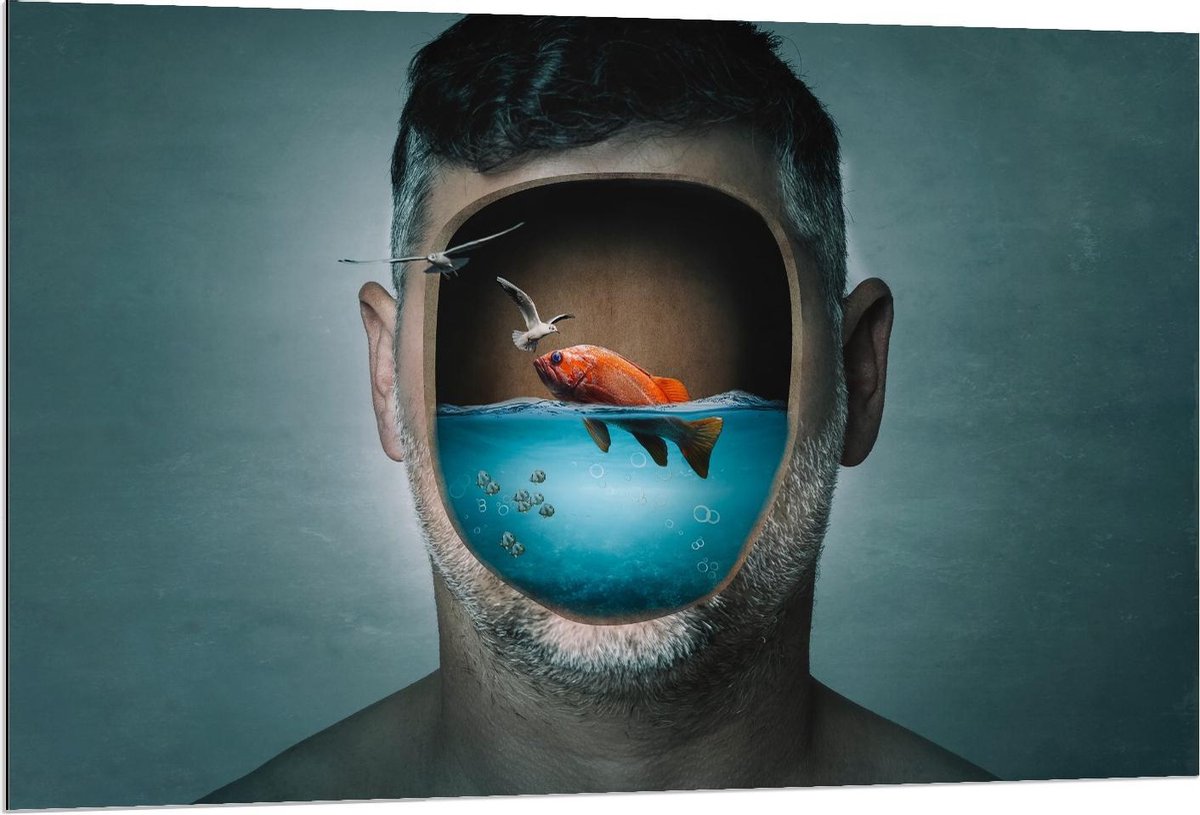 Dibond - Aquarium Hoofd van Man - 120x80cm Foto op Aluminium (Met Ophangsysteem)