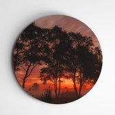 Mariapeel Helenaveen Muurcirkel |  fotoprint op forex | wanddecoratie natuur - 60x60cm, Dibond