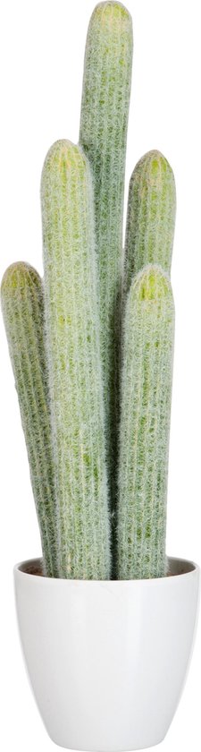 J-Line Kunstplant Cactus 5delig Groen / Wit 16.5x14x54