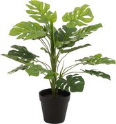 J-Line Philodendron In Pot Plastiek Groen Small