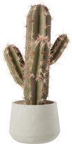 J-Line Kunstplant Cactus met Pot Kunststof Groen / Grijs 21x23x47.5