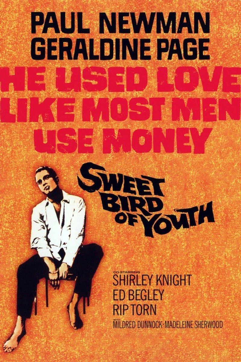 Sweet Bird of Youth