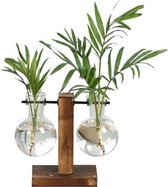 plant vaas-vazen-decorative vaas-cadeau