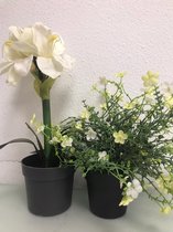 Kunstplanten set - twee stuks