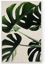 Plywood Print - Houten Poster - Monstera