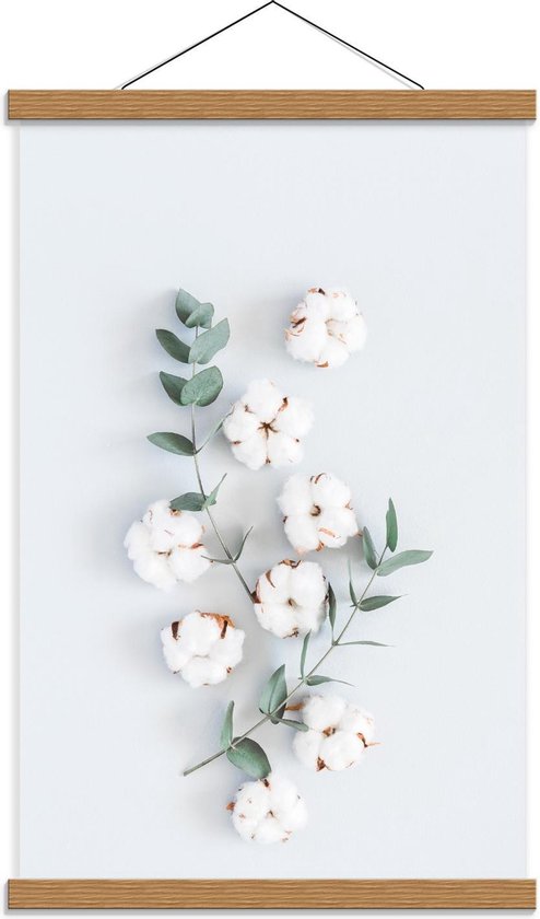 Schoolplaat – Katoenplantjes op Witte Achtergrond - 40x60cm Foto op Textielposter (Wanddecoratie op Schoolplaat)