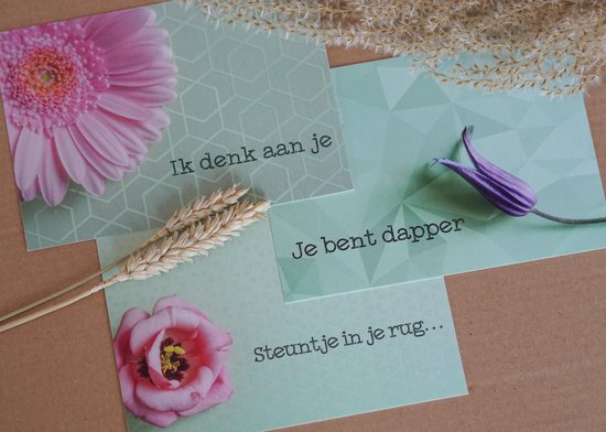 Steuntje in de rug-wenskaarten (beterschapskaarten)
