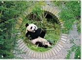 SCHUTTINGPOSTER - tuinposter-buiten-90x65 cm-doorkijkje-dieren-geheime tuin-panda