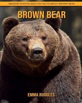 Brown Bear
