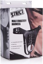 Male Chasitty Harness - Black - Bondage Toys