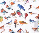 Vogel Stickers - 46 stuks - Bird Sticker - Leuk voor bulletjournal, scrapbooking en kaarten maken