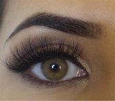 Kleurlenzen brown | op sterkte | -3.00 | bruin | jaarlenzen