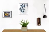 Aloe Vera Kamerplant - ± 30cm hoog - 12cm diameter - in groene sierpot