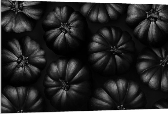 Dibond - Zwarte Pompoenen op Zwarte Achtergrond - 120x80cm Foto op Aluminium (Wanddecoratie van metaal)