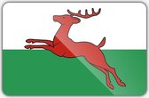Vlag gemeente Smallingerland - 70 x 100 cm - Polyester