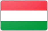 Vlag Hongarije - 200 x 300 cm - Polyester