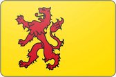Vlag Zuid-holland - 70 x 100 cm - Polyester