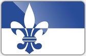 Vlag gemeente Scherpenzeel - 150 x 225 cm - Polyester