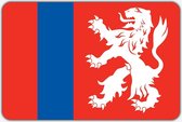 Vlag Heenvliet - 70 x 100 cm - Polyester