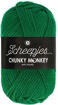 Scheepjes Chunky Monkey- 1116 Juniper 5x100gr