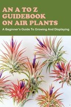 An A To Z Guidebook On Air Plants: A Beginner's Guide To Growing And Displaying