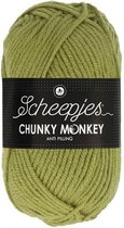 Scheepjes Chunky Monkey- 1065 Sage 5x100gr