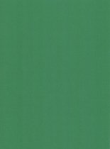 20 Linnen Kaarten papier - A4 - Fern Green - Cardstock - 29,7x21cm - 240 grams - Karton