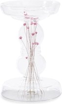 Dried Flower Candle Holder S