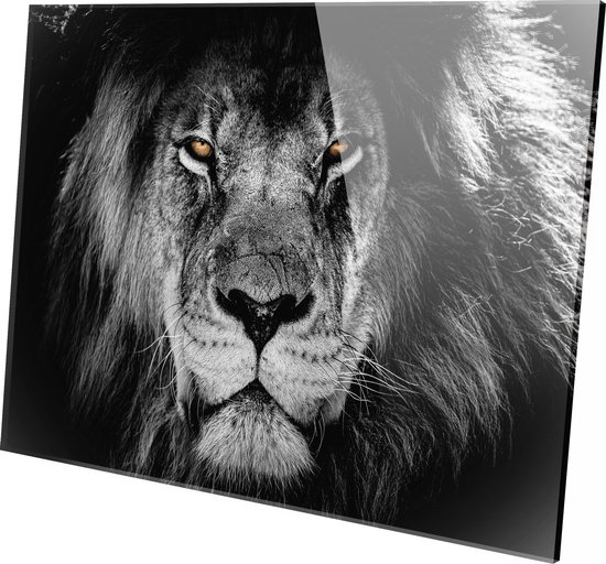 Top Media Groep - Schilderij - Leeuw Bruine Ogen Leeuw Lion Natuur - Zwart En Wit - 80 X 120 Cm