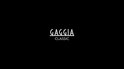 Gaggia Classic Coffee Pro