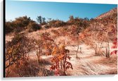 Canvas  - Planten in Duinen - 120x80cm Foto op Canvas Schilderij (Wanddecoratie op Canvas)