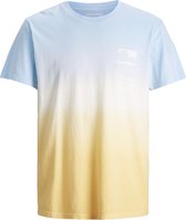 JACK&JONES JUNIOR JCOALOOHA TEE SS CREW NECK JR Jongens T-Shirt - Maat 164