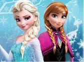 Diamondpainting - Frozen, Anna en Elsa - 20 x25 cm - ronde steentjes