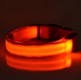 LED Hondenhalsband - Mini - Oranje - S